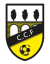 Escudo del Casalarreina C.F.